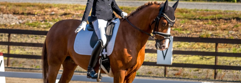 Trening med Vera Galtung